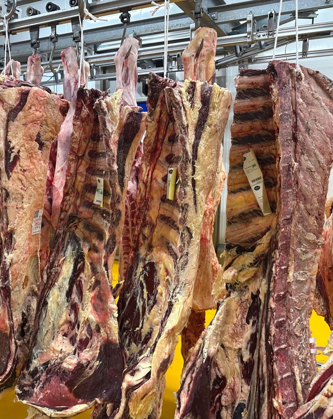 Viandes en maturation